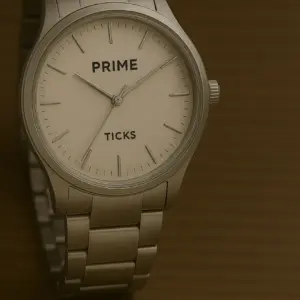 Prime Ticks