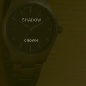 Shadow Motion